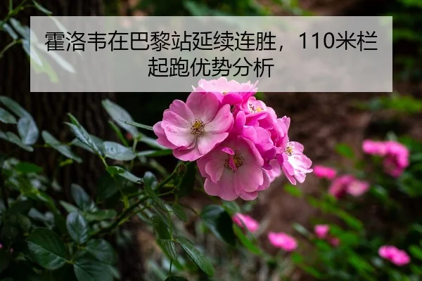霍洛韦在巴黎站延续连胜，110米栏起跑优势分析
