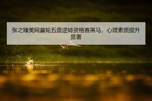 张之臻美网首轮五盘逆转资格赛黑马，心理素质提升显著