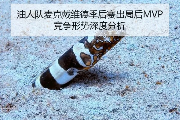 you-ren-dui-mai-ke-dai-wei-de-ji-hou-sai-chu-ju-hou-jing-zheng-xing-shi-shen-du-fen-xi-3-991.jpg