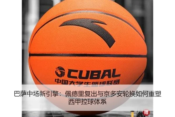 ba-sa-zhong-chang-xin-yin-qing-pei-de-li-fu-chu-yu-jing-duo-an-lun-huan-ru-he-zhong-su-xi-jia-kong-qiu-ti-xi-2-497.jpg