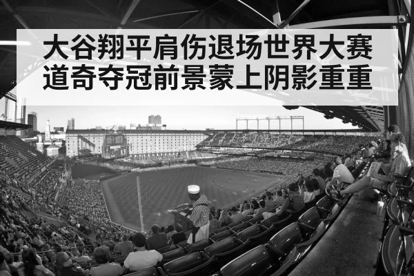 大谷翔平肩伤退场世界大赛道奇夺冠前景蒙上阴影重重