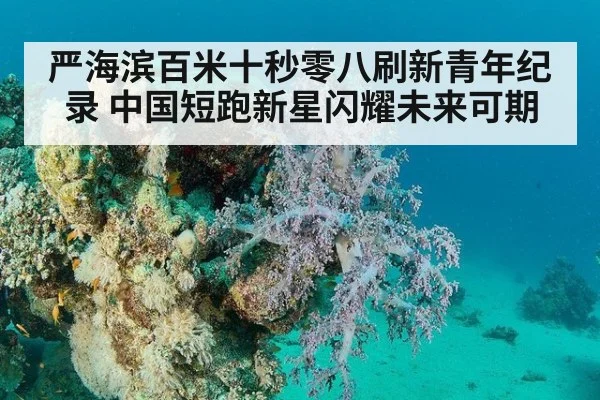 严海滨百米十秒零八刷新青年纪录 中国短跑新星闪耀未来可期